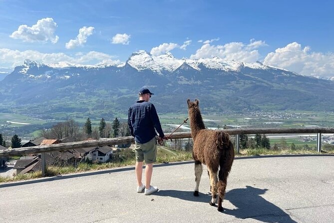 Llama hike through the wonderful Liechtenstein mountains - Triesenberg’s meadows, woods, and uphill section