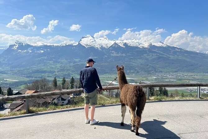 Llama hike with homemade, traditional cheese fondue - Key points at a glance