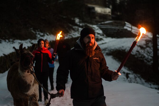 Llama hike with homemade, traditional cheese fondue - Why this llama hike feels different from a standard farm visit