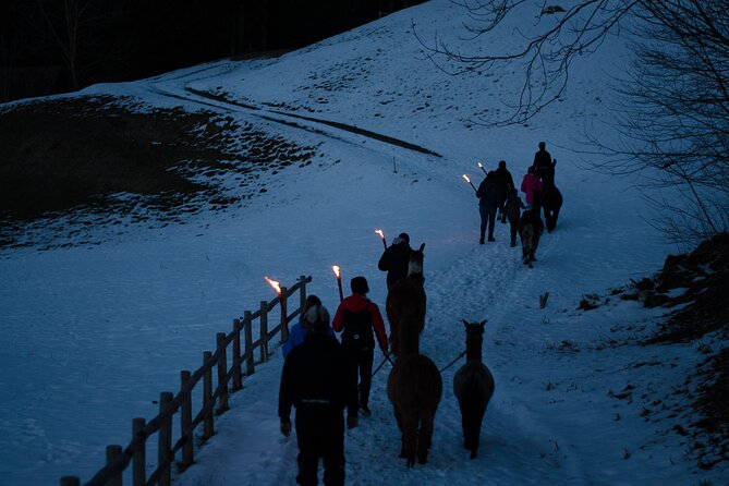 Llama hike with homemade, traditional cheese fondue - Booking timing, weather, and cancellation