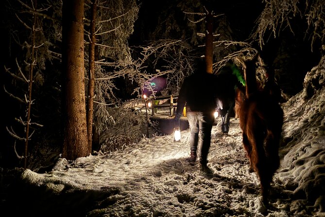Llama hike with homemade, traditional cheese fondue - Practical tips for a better evening
