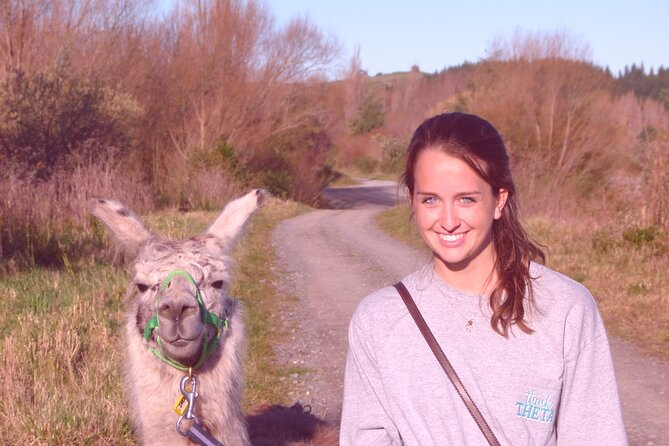 Llama Trek (Taster) - Kowhai River Valley and Native Woodland Tour - A 90-minute route through protected woodland