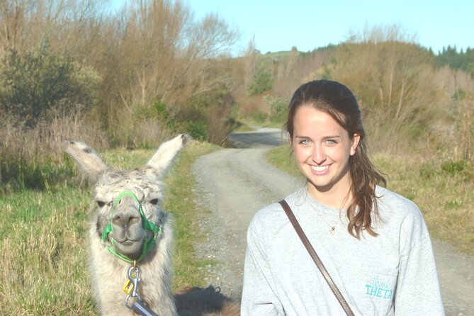 Llama Trek (Taster) - Kowhai River Valley and Native Woodland Tour - The best parts of the Kowhai River Valley