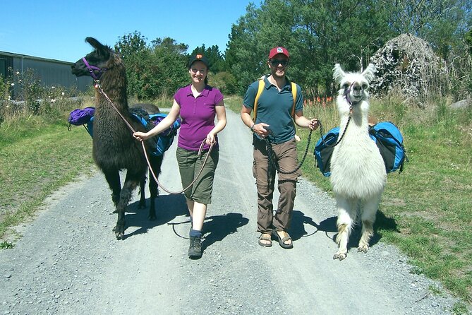 Llama Trek (Taster) - Kowhai River Valley and Native Woodland Tour - Who should book this taster trek?