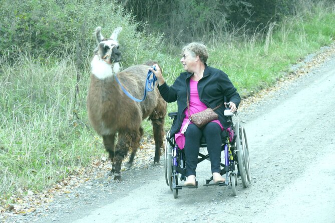 Llama Trek (Taster) - Kowhai River Valley and Native Woodland Tour - What the short reviews tell you about the experience