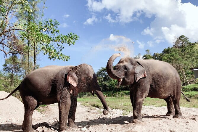 Local Farming Experience in Chiang Mai, Thailand - Who will enjoy this farm visit most?