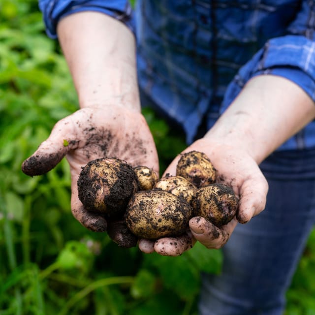 Lofoten (Stamsund and Leknes): Aimees Farm Experience - Who will enjoy this three-hour experience