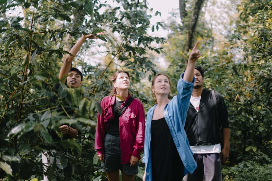 Lombok: Coffee Plantation Tour With Tasting - Key points to know before booking