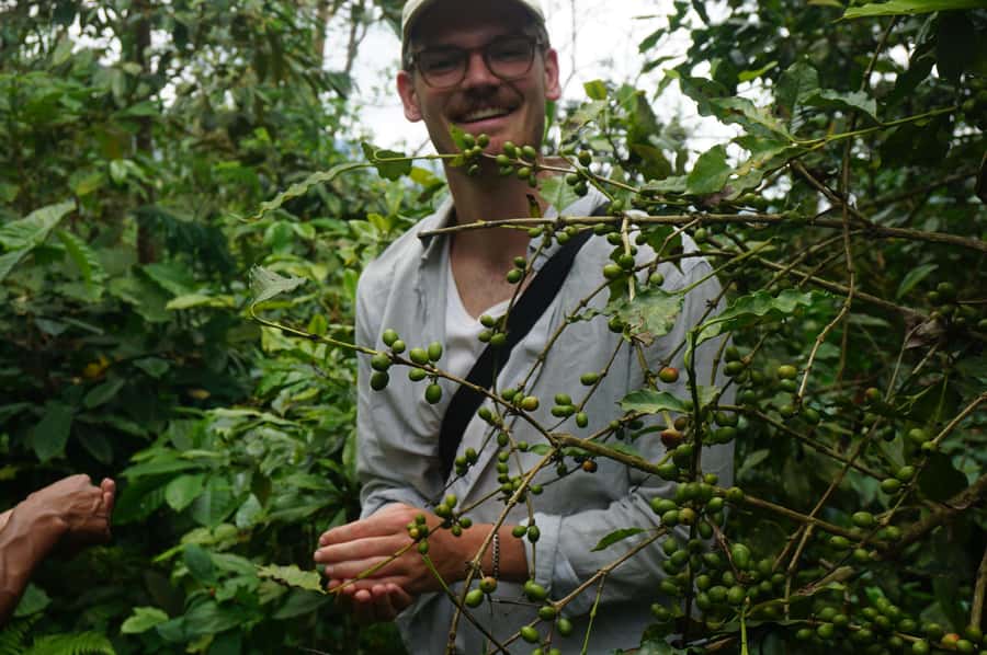 Lombok: Coffee Plantation Tour With Tasting - The roasting room and the craft of the final profile