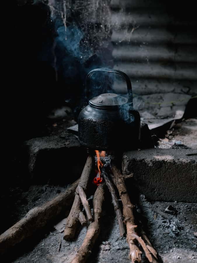Lombok: Coffee Plantation Tour With Tasting - What the $70 price really covers
