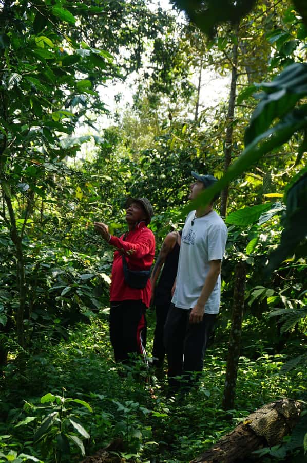Lombok: Coffee Plantation Tour With Tasting - How to prepare for the five hours