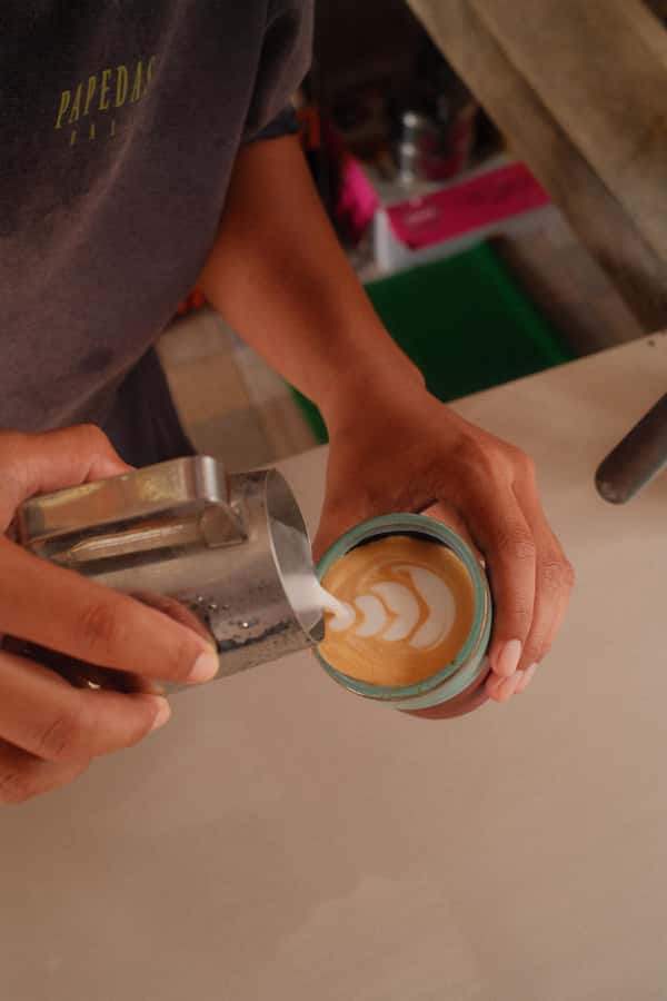 Lombok: Coffee Plantation Tour With Tasting - The hillside plantation and its coffee cherries