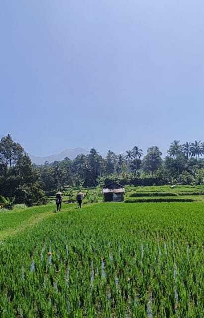 Lombok : hiking- rice terrace & waterfalls tour - Practical planning for the six-hour schedule