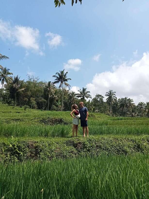 Lombok : Privat Tour Benang Kelambu Waterfall, Rice Terrace. - Key points to know before booking