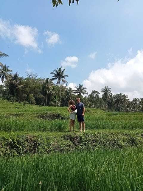 Lombok : Privat Tour Benang Kelambu Waterfall, Rice Terrace. - Benang Kelambu waterfall and its green rock wall