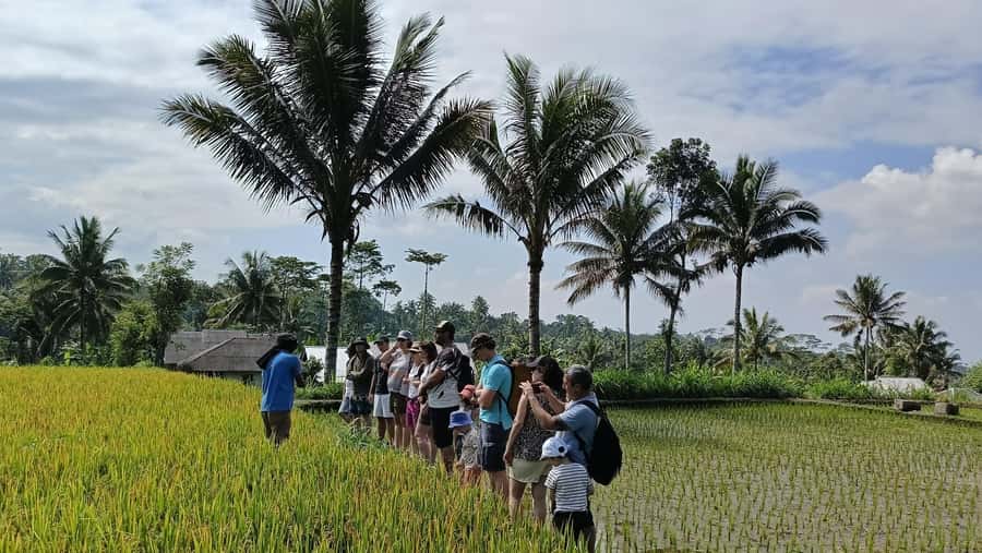 Lombok: Tetebatu Village and Rice Fields Guided Tour - Tetebatu tour highlights