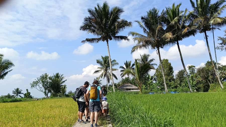 Lombok: Tetebatu Village and Rice Fields Guided Tour - Walking the rice fields under Mount Rinjani