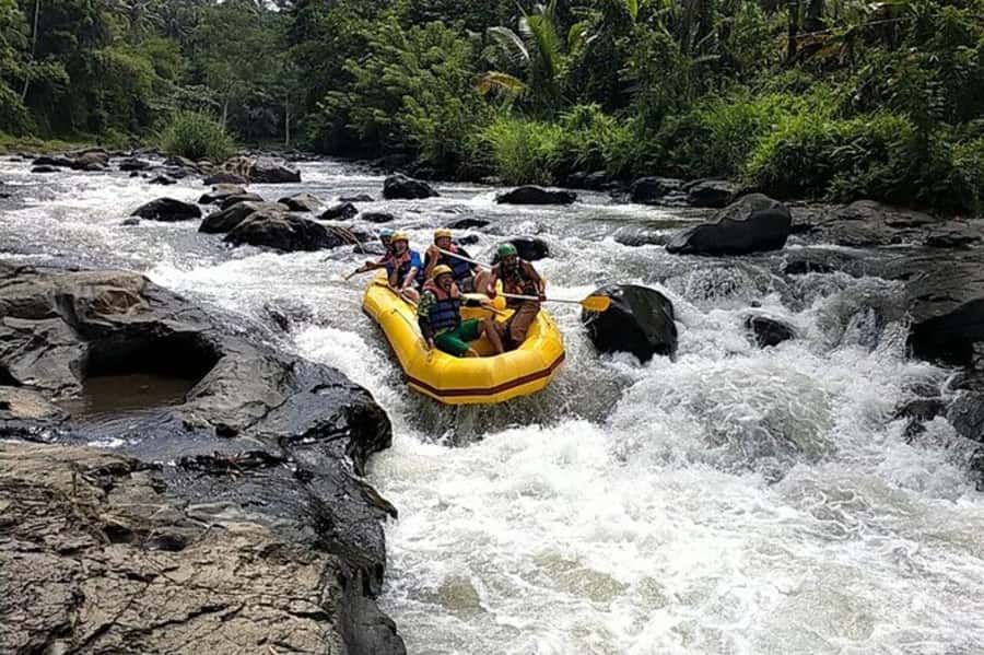 Lombok: White Water Rafting, Rice Terrace & Waterfall Tour - A rice-field walk near Batu Keliang