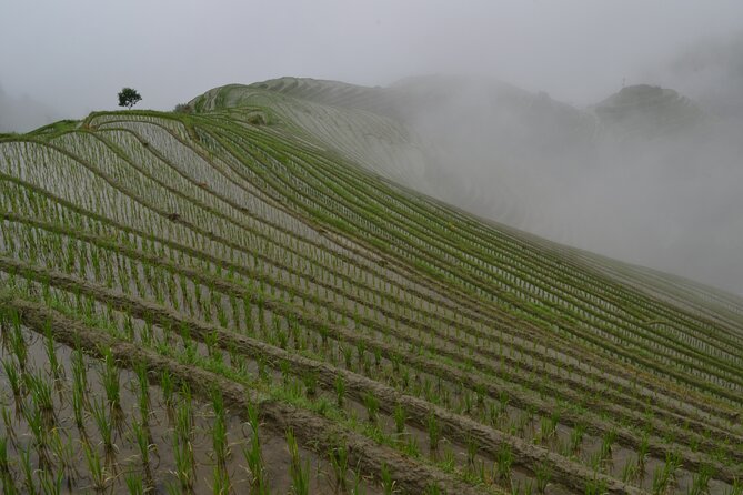 Longji Dazhai Rice Terraces Day Tour Cable Car Adventure - Lunch in Huangyao Village, with local dishes on the table