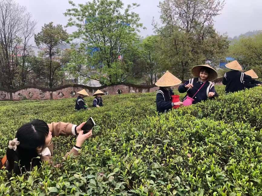 Longji Rice Terraces: 1-Day Private Tour - Huangluo Yao Village and its famous long hair
