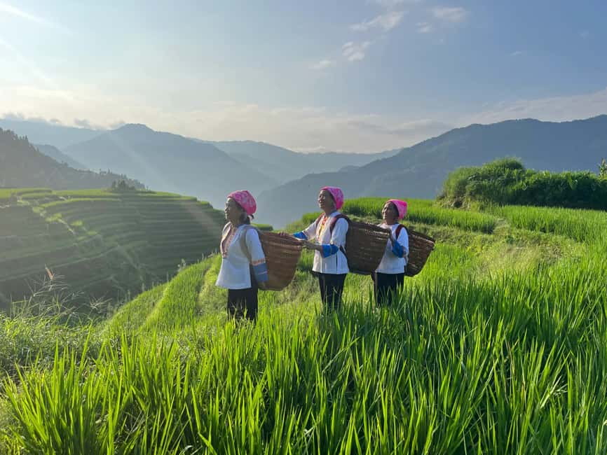 Longji Rice Terraces: 1-Day Private Tour - What the private car and guide add