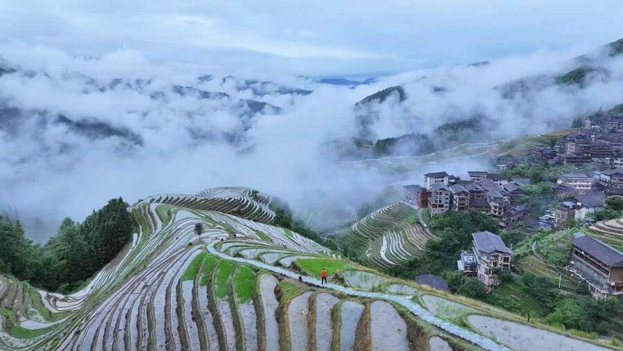 Longji Rice Terraces: 1-Day Private Tour - Who will enjoy this day most?