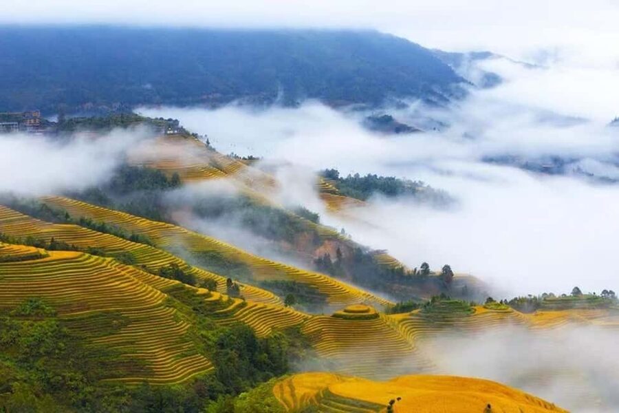 Longji Rice Terraces: 1-Day Private Tour - The two-hour walk through Longji Rice Terraces