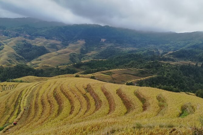 Longji Rice Terraces All In One Dazhai and Pingan Villages Tour - Key points to know before booking