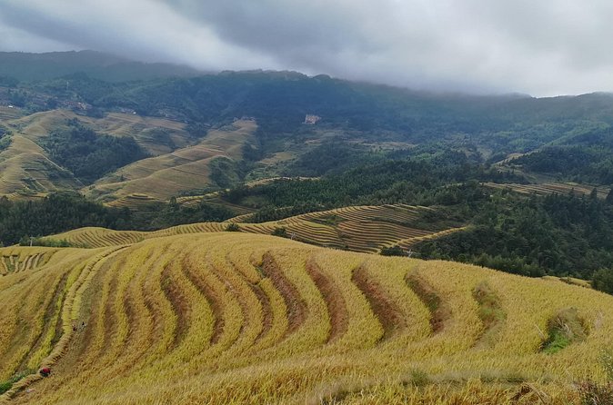 Longji Rice Terraces All In One Dazhai and Pingan Villages Tour - What the $99 price really covers