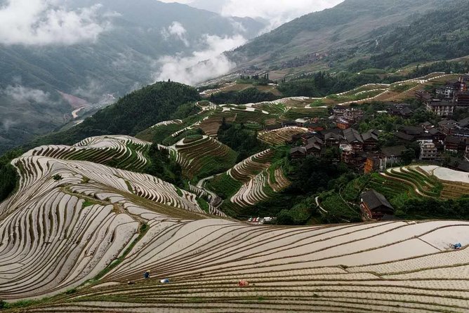 Longji Rice Terraces and Minority Village Day Tour - What the private format really means
