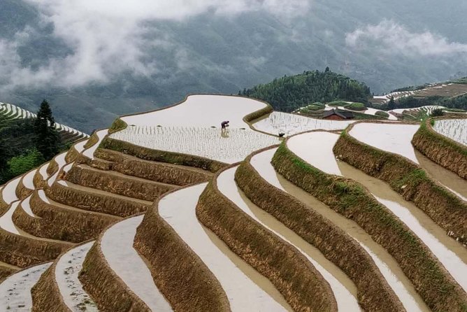 Longji Rice Terraces and Minority Village Day Tour - Who will like this Longji day trip?