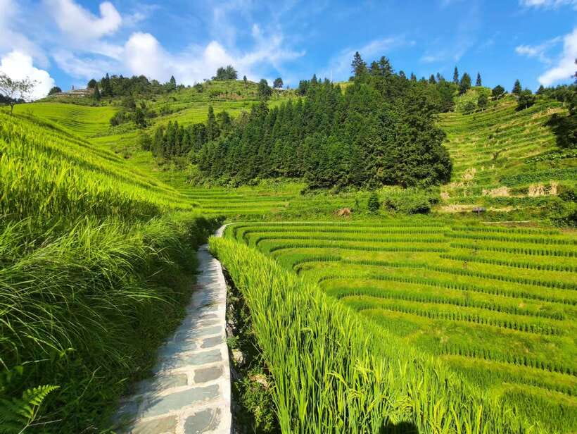 Longji Rice Terraces: Full-Day Private Tour from Guilin - Ping’an Village and Its Wooden Houses
