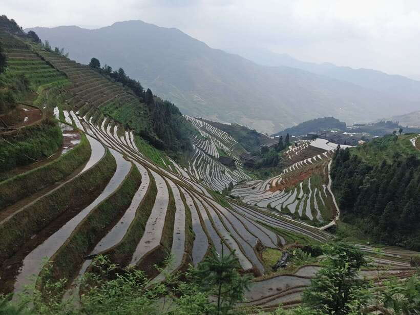 Longji Rice Terraces: Full-Day Private Tour from Guilin - The People Behind the Private Day