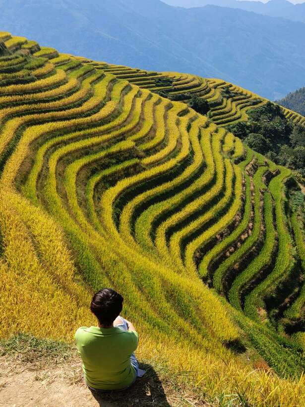 Longji Rice Terraces: Full-Day Private Tour from Guilin - Culture Beyond the Viewpoints