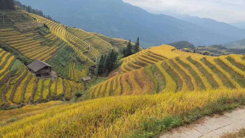 Longji Rice Terraces: Full-Day Private Tour from Guilin - Booking Advice and Final Verdict