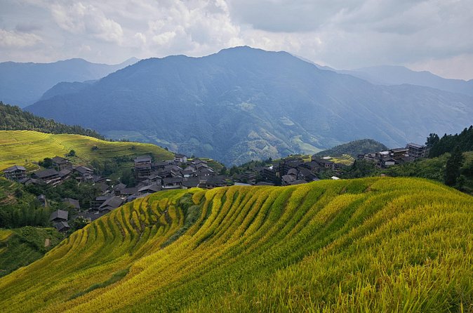 Longji Rice Terraces Hiking Tour Full Day Adventure - Three hours among the Dragon’s Backbone fields