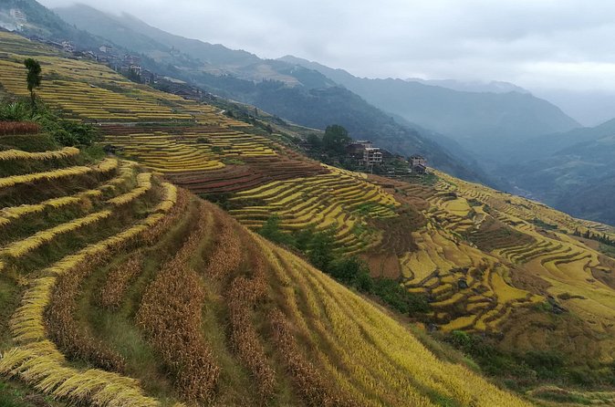 Longji Rice Terraces Hiking Tour Full Day Adventure - Village food: bamboo rice and smoked pork