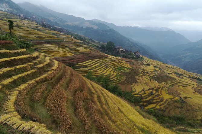 Longji Rice Terraces Hiking Tour Full Day Adventure - What the private guide adds
