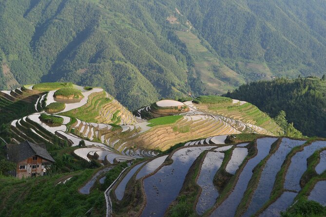 Longji Rice Terraces Hiking Tour Full Day Adventure - Is $89 a fair price?