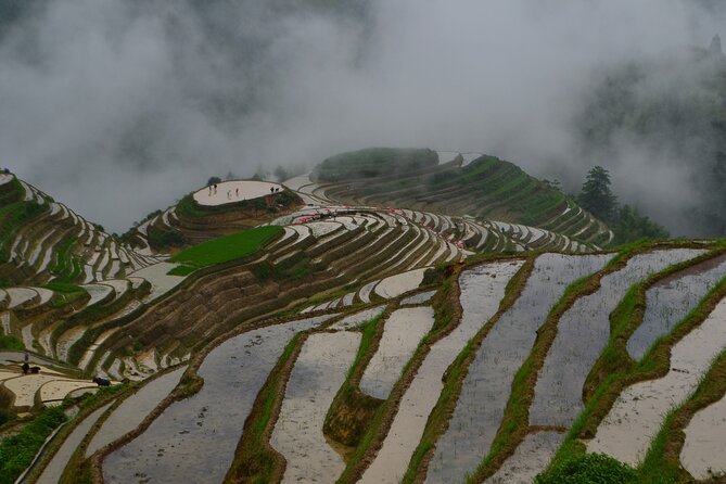 Longji Rice Terraces Hiking Tour Full Day Adventure - Arriving at Longji and choosing your route