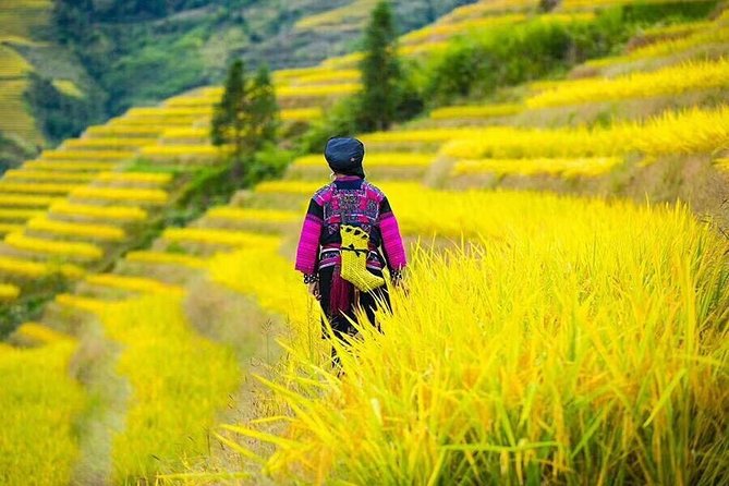 Longji rice terraces & minority villages private day tour - Minority villages, tea fields, and optional cultural stops