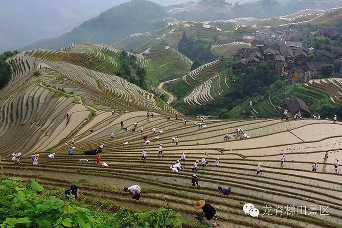 Longji rice terraces & minority villages private day tour - Which guide style will suit you?