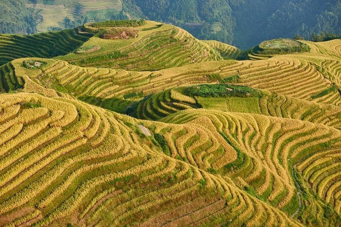 Longji Rice Terraces with Minority Village Private Day Tour - Key points to know before booking