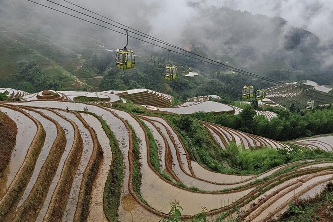 Longji Rice Terraces with the Dazhai Cable Car Private Day Tour - Why the Dragon’s Backbone Terraces Matter