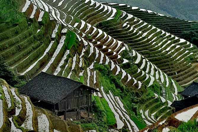 Longji Rice Terraces with the Dazhai Cable Car Private Day Tour - What You See on the Walk Down
