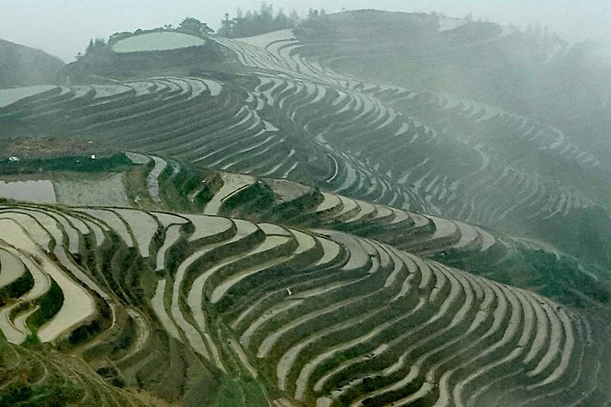 Longji Rice Terraces with the Dazhai Cable Car Private Day Tour - Who Will Enjoy This Private Longji Day