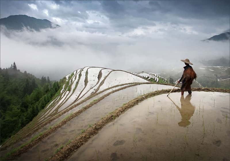 Longsheng Ethnic Minority & Rice Terraces Full-Day Tour - Walking the Dragon’s Backbone Rice Terraces