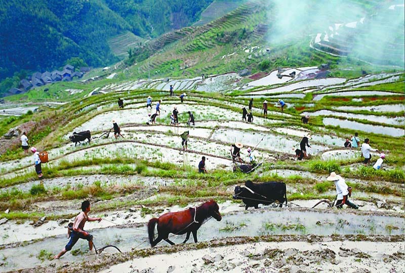 Longsheng Ethnic Minority & Rice Terraces Full-Day Tour - Is the $169 price fair?