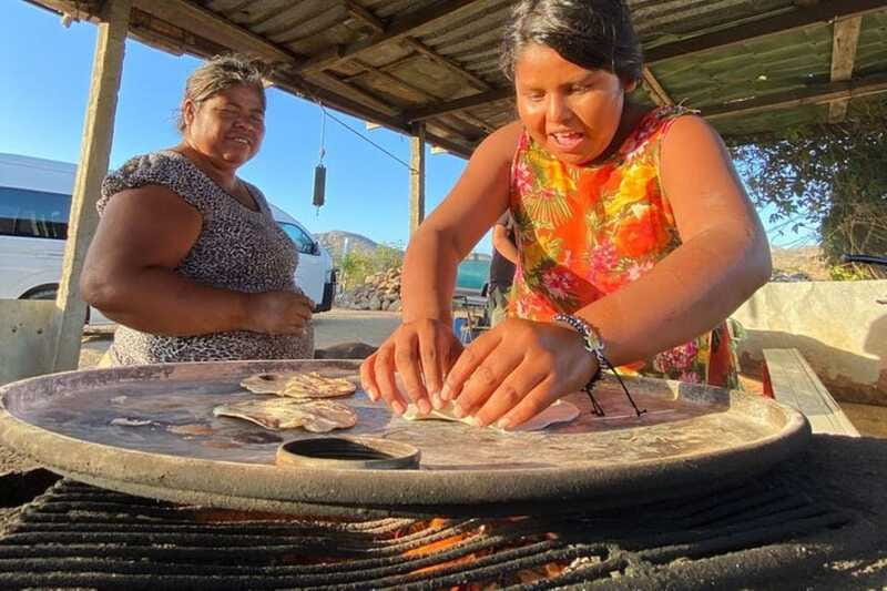 Los Cabos: Azteca Cactus Taco Farm to Table Cooking Class - A natural beach walk after lunch