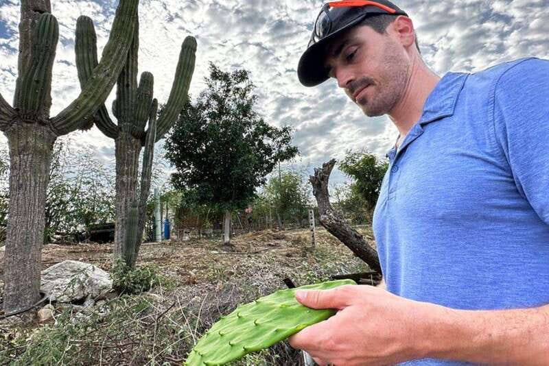 Los Cabos: Azteca Cactus Taco Farm to Table Cooking Class - Is $95 a fair price?